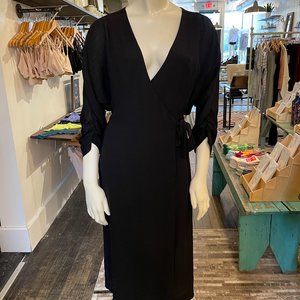 Babton (Aritzia) Black Ludovic Dress